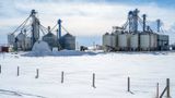 Global Food Ingredients Industry 2