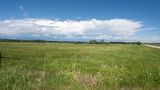 June 2023 Farmscape