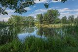 20230731-DSC_1147-Edit_1500w.jpg