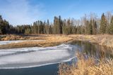 20231109-DSC_1863-Edit_1500w.jpg