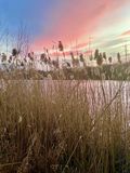 D90381F9-DE3D-4B4C-9DCE-04AEDFAC9E42.jpeg