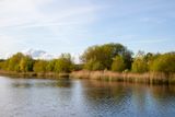 SundayEveningWalk03.jpg
