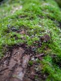 SundayEveningWalk19.jpg