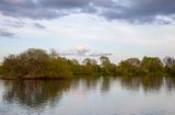 SundayEveningWalk24.jpg