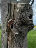 IMG_9085.jpeg
