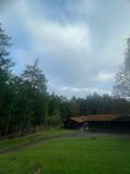 IMG_9089.jpeg
