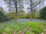 IMG_9148.jpeg