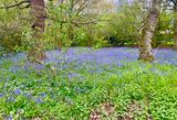 IMG_9149.jpeg