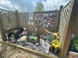 IMG_9325.jpeg