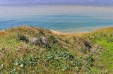 Cap gris nez