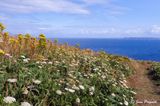 pointe du millier cap sizun
