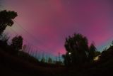 DSC03606.jpg