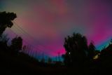 DSC03607.jpg