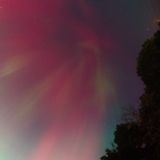DSC03640.jpg