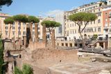 A week in Roma, Largo di Torre Argentina