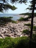 Glimpse at the shore
