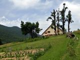 Rural house