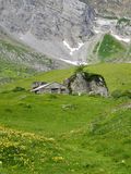 Small hut 