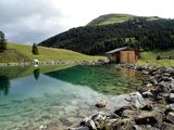 Brandsee