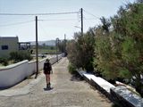 Concrete road