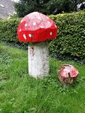 Stage 16: Toadstool