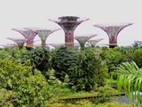Lion City