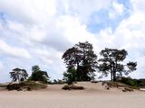 Stage 6: Lange Duinen