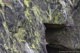 Rocks