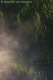 Mist & sunlight