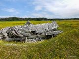IMG_4153.jpg