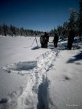 IMG_2589.jpg