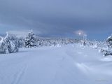 IMG_4874.jpg