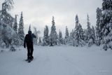_MG_1401.jpg