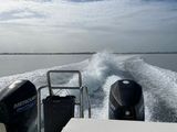 IMG_3550.jpeg