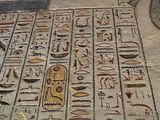 IMG_5475.jpg