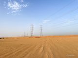 IMG_9952.jpg