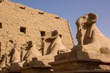 _MG_4457.jpg