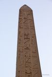 _MG_4522.jpg