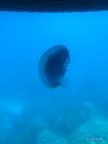 IMG_6226.jpg