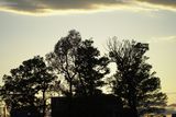 DSC01282.JPG