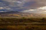 Before the Grapevine