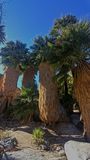 0207231314_HDR_DxO.jpg