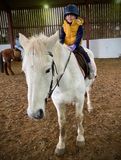 16th Jan 2023 - equestrian