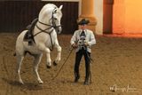 Scuola Andalusa di Arte Equestre