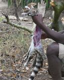 Hadza_P1030709.jpg
