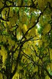 Cawdor Castle