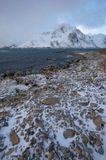 Flesveien