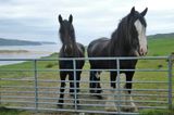 Near Bettyhill