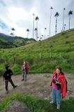 Vale de Cocora