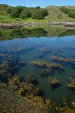 Loch an Eisg-Brachaidh